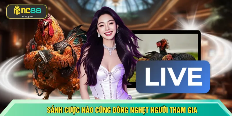 Sảnh cược nào cũng đông nghẹt người tham gia