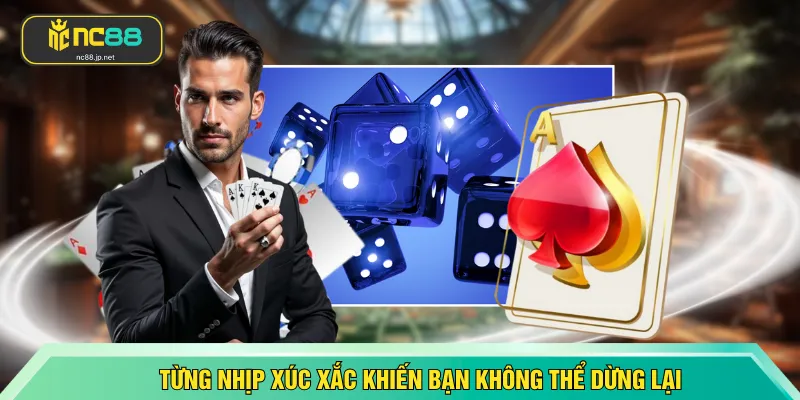 Từng nhịp xúc xắc khiến bạn không thể dừng lại