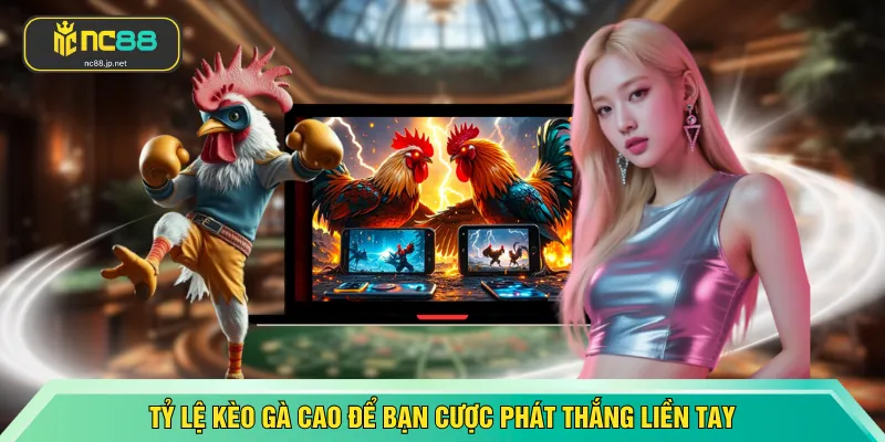 Tỷ lệ kèo gà cao để bạn cược phát thắng liền tay
